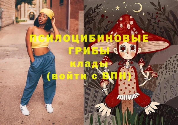 mdpv Белокуриха