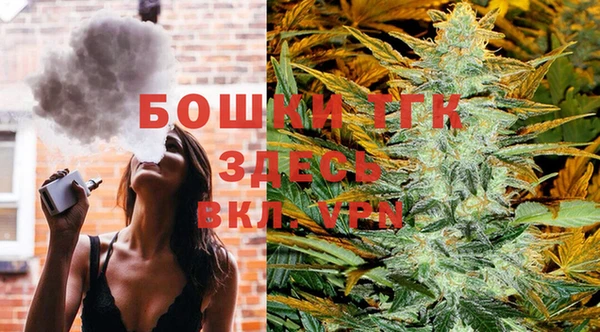 стаф Богородицк